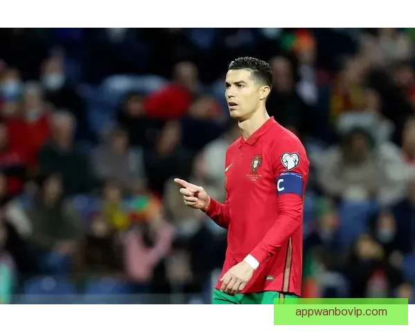 世界杯足球竞猜网站推荐 玩转全球赛事 赢取丰厚奖金