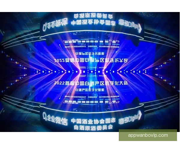 聚焦2026世界杯全球转播格局变革与数字媒体时代体育传播新机遇