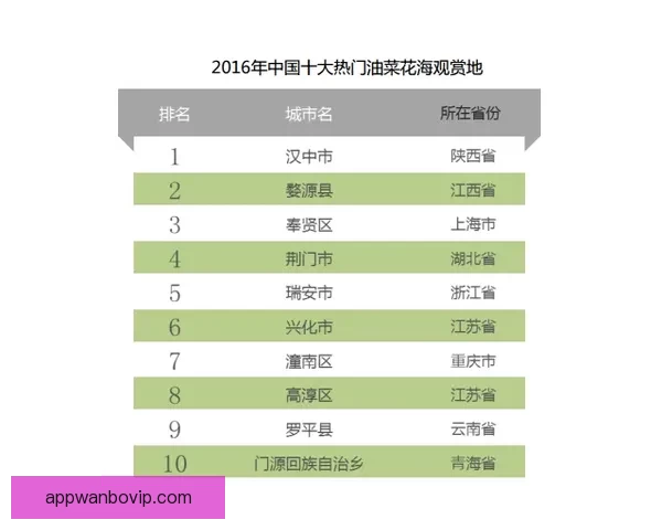 深度解析世界杯竞猜赔率数据变化趋势与投注技巧全面指南