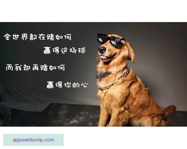 世界杯买球全攻略揭秘，让球迷轻松掌握投注技巧与策略
